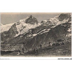 ANKP9-0787-05 - Massif de la meije - Plateau d'emparis