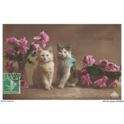 AYNP9-0763-CHAT - Deux chats - Fleurs - Bonne année 1914