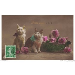 AYNP9-0764-CHAT - Deux chats - Fleurs - Bonne année 1914