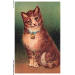 AYNP9-0771-CHAT - Le regard