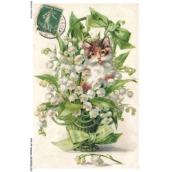 AYNP9-0768-CHAT - Muguet et chat