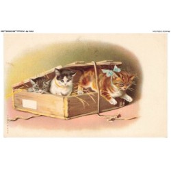 AYNP9-0779-CHAT - Chatons dans un coffre