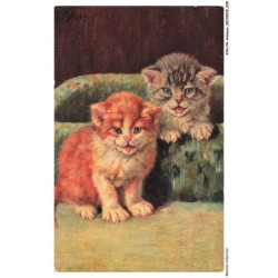 AYNP9-0778-CHAT - Chatons