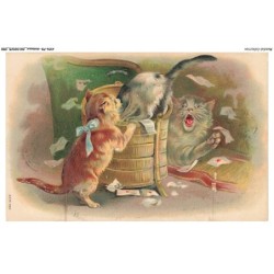 AYNP9-0788-CHAT - Jeu de chats