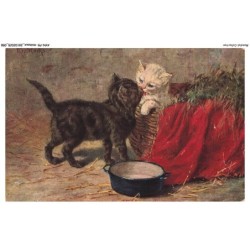 AYNP9-0792-CHAT - Chat dans un panier