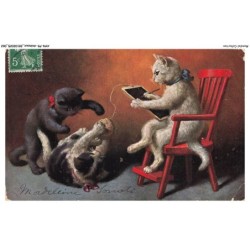 AYNP9-0794-CHAT - L'apprentissage de chats