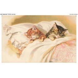AYNP9-0789-CHAT - Le repos