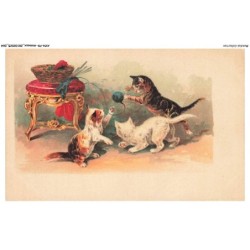 AYNP9-0795-CHAT - Le jeu entre chats