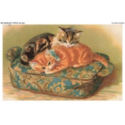 AYNP9-0796-CHAT - Le repos