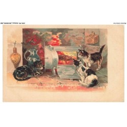 AYNP9-0797-CHAT - La cuisine des chats
