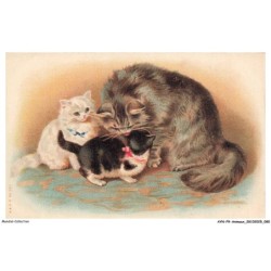 AYNP9-0803-CHAT - Chatte et chatons