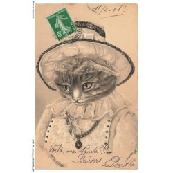 AYNP9-0810-CHAT - Costume de chat