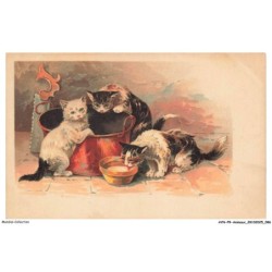 AYNP9-0806-CHAT - Le repas