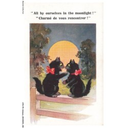 AYNP9-0817-CHAT - La causette - Comique - Barnes