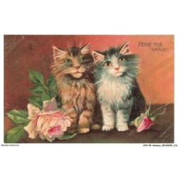 AYNP9-0821-CHAT - Rose thé grace - Boulanger