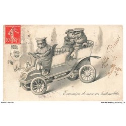 AYNP9-0828-CHAT - Excursion de noce en automobile