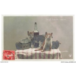 AYNP9-0829-CHAT - Deux futurs lapins