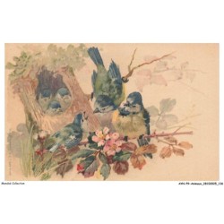 AYNP9-0831-OISEAU - Sur l'arbre - Le picotement