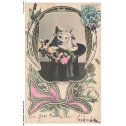 AYNP9-0827-CHAT - Chat dans un chapeau