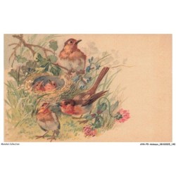 AYNP9-0833-OISEAU - Nid et petits d'oiseau
