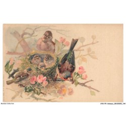 AYNP9-0835-OISEAU - Nid d'oiseaux