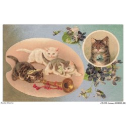AYNP10-0874-CHAT - Fanfare et chatons