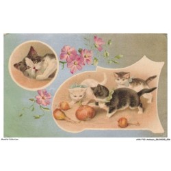 AYNP10-0873-CHAT - Oignons et chatons