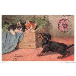 AYNP10-0882-CHAT - Teckel et chatons