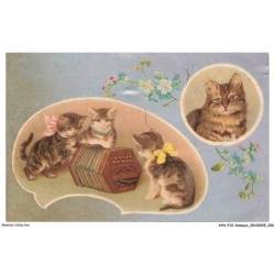 AYNP10-0883-CHAT - Accordeon et chatons