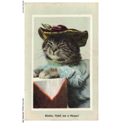 AYNP10-0890-CHAT - Waiter - Fetch me a mouse