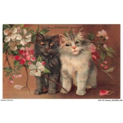 AYNP10-0893-CHAT - Fleur de pommier repentiri