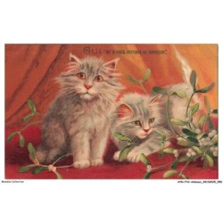 AYNP10-0895-CHAT - Gui - Porte bonheur
