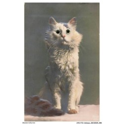 AYNP10-0899-CHAT - Yeux de chats - CARTE A SYSTEME