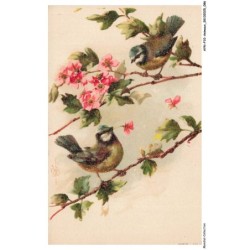 AYNP10-0913-OISEAU - Oiseaux et fleurs