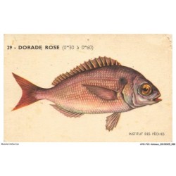 AYNP10-0914-POISSON - Institut des peches - Dorade rose
