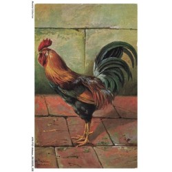 AYNP10-0920-OISEAU - Coq