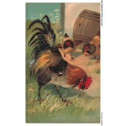 AYNP10-0919-OISEAU - Coq et poules