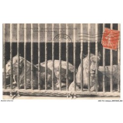 AXEP13-0951-ANIMAUX - Paris - Muséum d'histoire naturelle - Lionnes du soudan