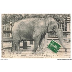 AXEP13-0952-ANIMAUX - Paris - Jardin des plantes - L'éléphant rachel