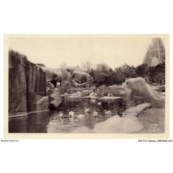 AXEP13-0955-ANIMAUX - Jardin zoologique de vincennes - Ile et rochers des singes vers le grand rocher