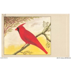 AXEP13-0971-ANIMAUX - Cardinal rouge