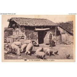 AXEP13-0983-ANIMAUX - En limousin - Déjeuner en famille