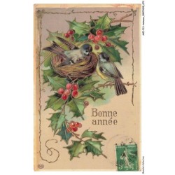 AXEP13-0987-ANIMAUX - Bonne année - Oiseaux dans leur nid
