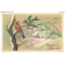 AXEP13-0989-ANIMAUX - Oiseau - Bonne année