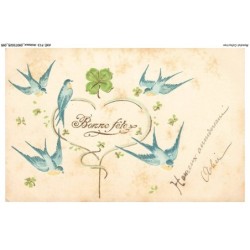 AXEP13-0998-ANIMAUX - Bonne fete - Colombe