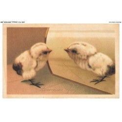 AXEP13-0995-ANIMAUX - Heureuses paques - Poussin