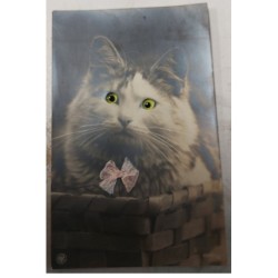 MIKII-400 CHAT AU YEUX JAUNE NOEUD PAPILLON ROSE SYSTEME AJOUTIS
