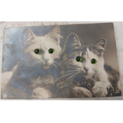 MIKII-399 CHATS AUX YEUX VERTS SYSTEME AJOUTIS