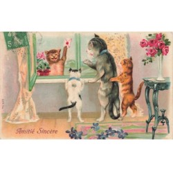 MIKII-045 CHATS HUMANISES UNE LETTRE  AMITIE SINCERE FLEURS PAR ILLUSTRATEUR GAUFREE