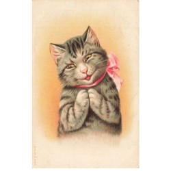 MIKII-028 CHAT NOEUD PAPILLON ROSE SOURIANT PAR ILLUSTRATEUR